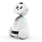 DomiBot-Eearly education companion robot-YOKEE